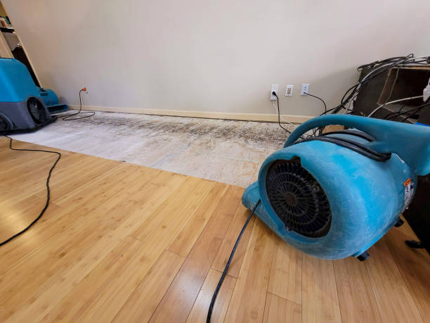 Professional Flood Damage Cleanup technician working in Shady Valley, TN